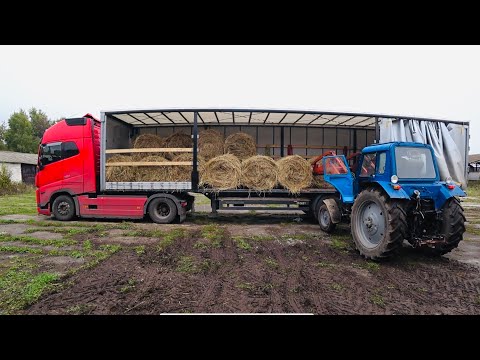 Видео: НУ И РЕЙС🤦🏻ЗАЕХАЛ ЛЕГКО,А ВЫЕХАТЬ ПРОБЛЕМА((ВЕЗУ СЕНО😀