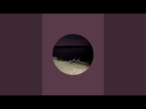 Видео: У каналі Fish Hunt UA 🐟 відбувається прямий ефір.