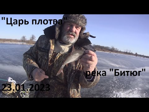 Видео: "Царь плотва", 23.01.2023, река "Битюг", село "Нижний Кисляй".