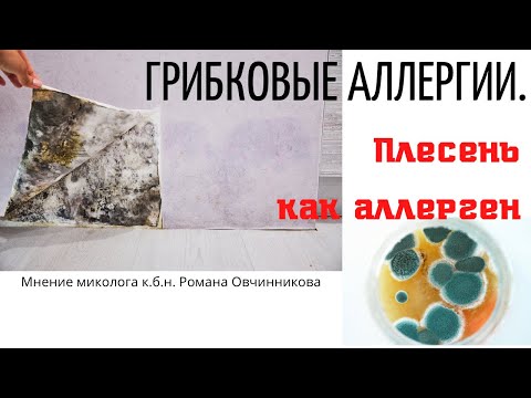 Видео: Грибковые аллергии. Плесень в автомобилях, стройматериалах, домах. Разбираем кейсы подписчиков -2020