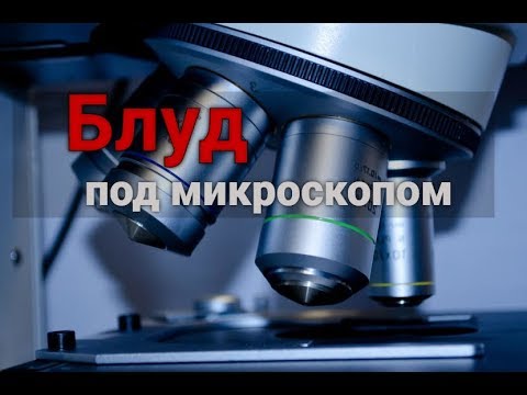 Видео: "Блуд под микроскопом".
