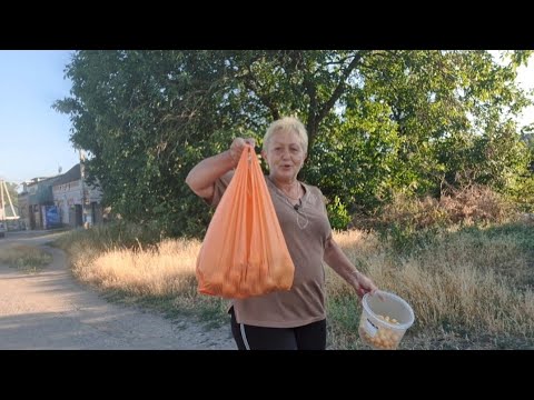 Видео: Стоит ли морозить тыкву? Закатала 18л компота