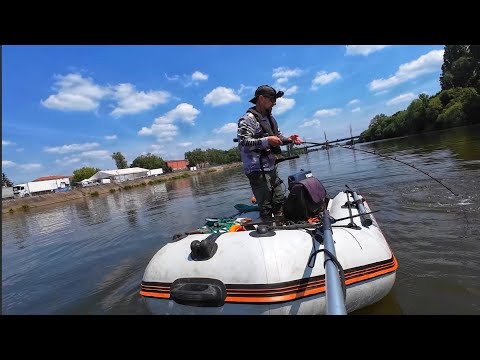 Видео: Рыбалка на ЖИВЦА, ловля Сома при помощи квока