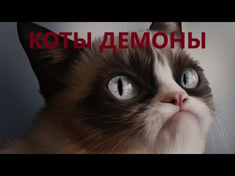 Видео: ТОП 5 КОТОВ-ДЕМОНОВ. НАПАДЕНИЕ КОТОВ НА ЛЮДЕЙ.
