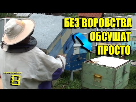 Видео: НАДЕЖНАЯ ОБСУШКА РАМОК. РАМКИ ПОСЛЕ ОТКАЧКИ МЕДА. ЛЮБИТЕЛЬСКОЕ ПЧЕЛОВОДСТВО ДЛЯ НАЧИНАЮЩИХ