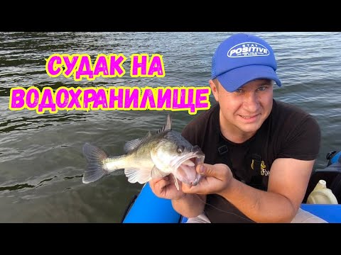 Видео: КЛАССИЧЕСКИЙ ДЖИГ...ЛОВЛЯ СУДАКА ЛЕТОМ,,,