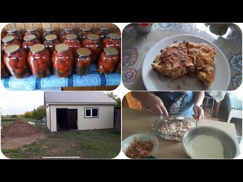 Видео: ЛУЧШИЙ ЯБЛОЧНЫЙ ПИРОГ ЗА 5 МИНУТ+ ВЫПЕЧКА// ЛЕРУА МЕРЛЕН - ПОЛКА В ПОГРЕБ//  переезд консервации //