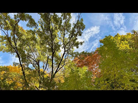 Видео: День сурка 04_10_2025