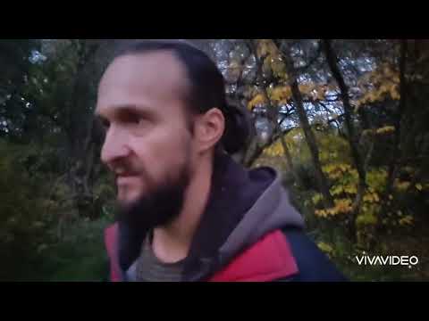 Видео: Сады - аутумнарии моими глазами, осенние окраски 2022.