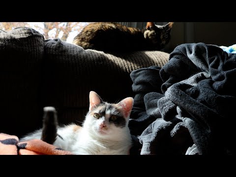 Видео: Милые дамы загорают