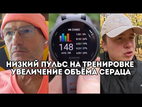 Видео: Почему нужно тренироваться на низком пульсе? Юрий Строфилов о низкой интенсивности / Иван Докукин