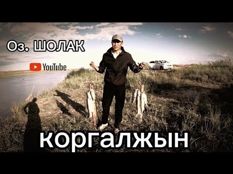 Видео: Рыбалка на Спиннинг на реке Нура! Судак,щука, окунь, рак клюнул сам в шоке! fishing Kazakhstan