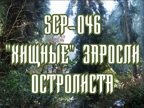 Видео: SCP-046 «Хищные» заросли остролиста