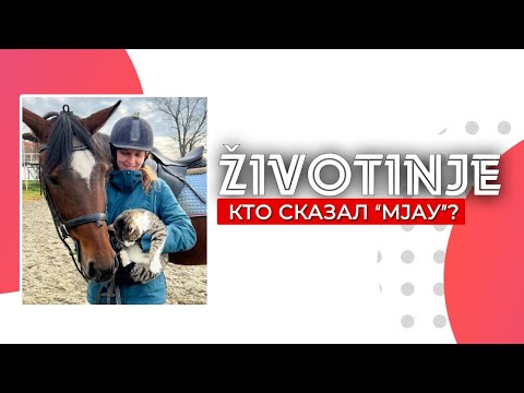 Видео: Сербский язык. Животные.