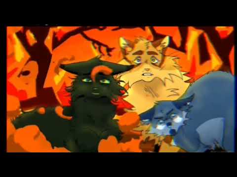 Видео: остролистая "я сошла с ума(англ)" |клип|