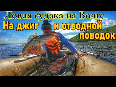 Видео: ЛОВЛЯ СУДАКА НА ОТВОДНОЙ ПОВОДОК/РЫБАЛКА НА СПИННИНГ НА ВОЛГЕ/ СУДАК И БЕРШ НА РУСЛЕ ВОЛГИ/ЛЕТО 2024