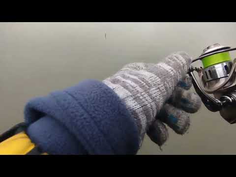 Видео: Открытие форелевого сезона в ефиминово | работает только одна резина и воблер .