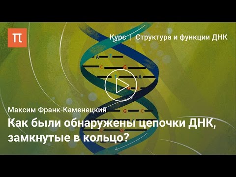 Видео: Кольцевые ДНК — Максим Франк-Каменецкий