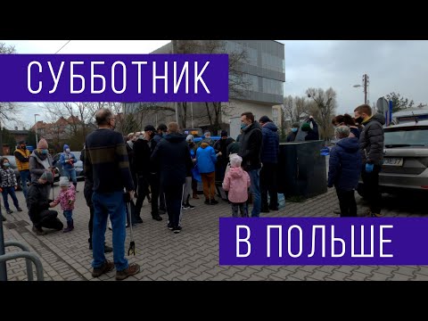 Видео: Наша жизнь в Польше: работа в польском техникуме, ветеринарная клиника  и польские субботники.