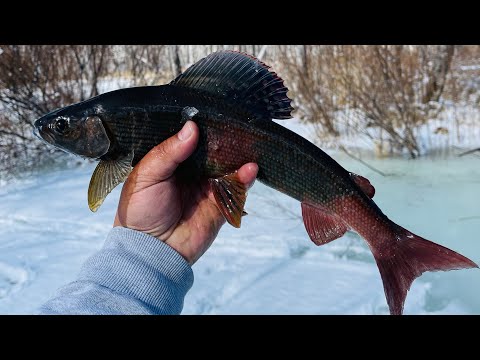 Видео: Найзуудын агаарлалт 2022.2  🎣🕳