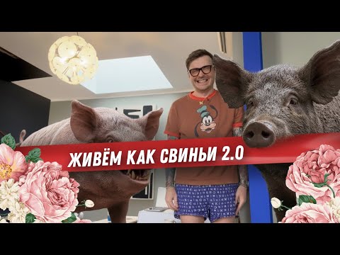 Видео: влог из парижа. треш рум тур