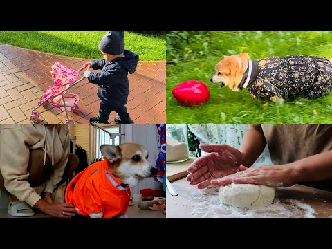 Видео: первая неделя с собаками и ребенком🙂 будем скучать! наши будни 🩷VLOG