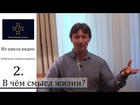 Видео: В чём смысл жизни?