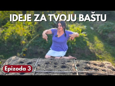 Видео: 3 Эффективные Комбинации Растений Для Вас - Зимний Сад Эп. 3