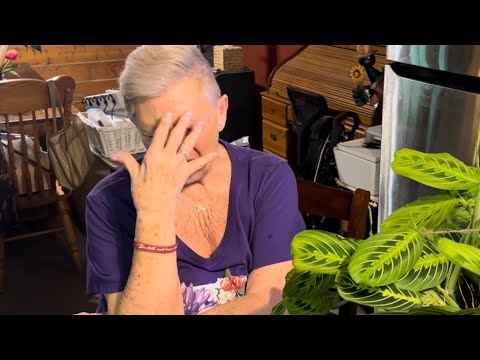 Видео: Джиджи испытывает стресс