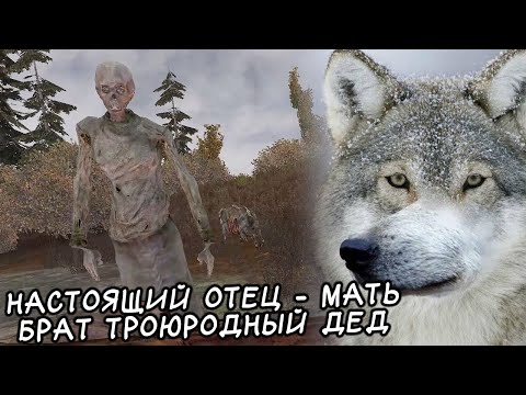 Видео: Мод про Собак - STALKER В Аду... Псы. #1