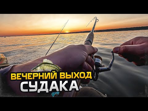 Видео: Судак на спиннинг | Выбор места, приманки | Рыбалка на лодке l Финский залив l Рыбалка на судака