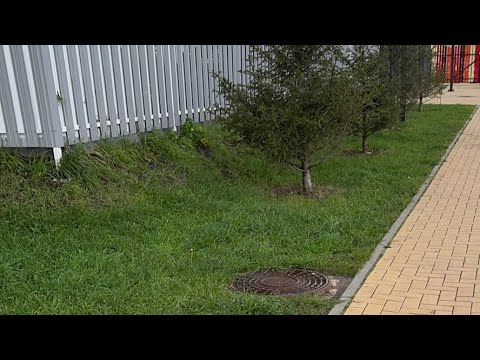 Видео: Роналдиньо ⚽️🏃🏻‍♂️⚽️🏃🏻‍♂️
