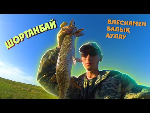 Видео: Кешкі балық аулау