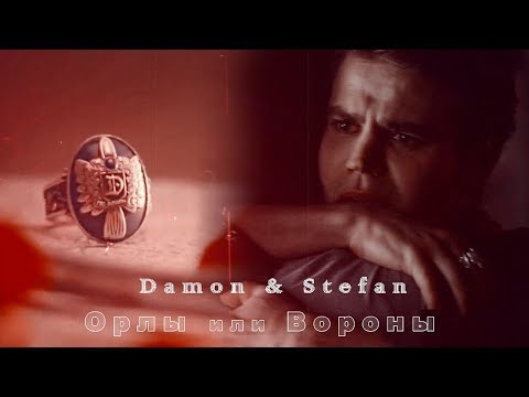 Видео: Damon & Stefan || Орлы или Вороны