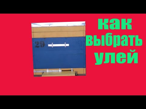 Видео: Какой улей выбрать. Как выбрать улей начинающему пчеловоду. Пчеловодство. Пчелы. Пасека