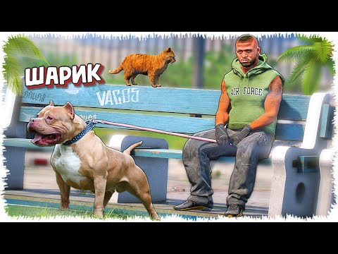 Видео: Джонни жаңа ит асырап алды (GTA V)