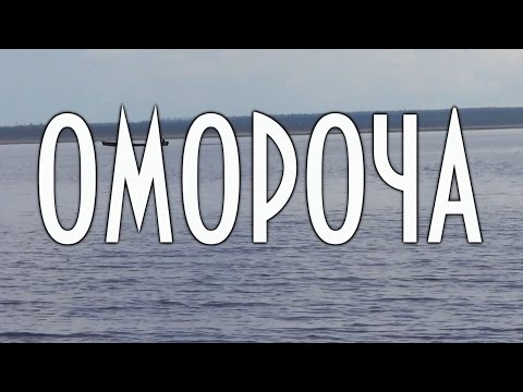 Видео: Омороча, оморочка, Лодка повышенной грузоподъемности для прохождения мелких рек