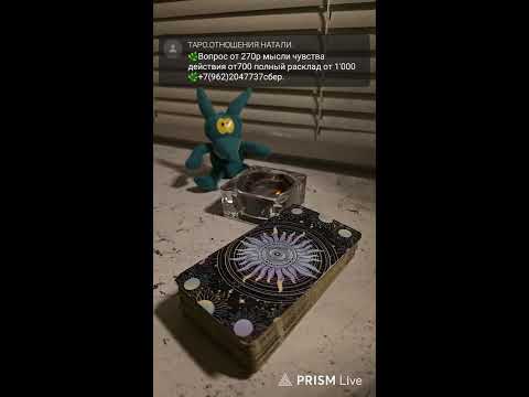 Видео: Прямая трансляция  ВЕРХОВНАЯ НАТАЛИ