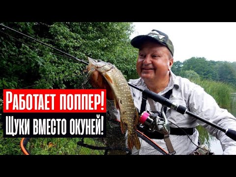 Видео: НАРВАЛСЯ НА ЩУКУ, а ехал за окунями. Ловля на топвотеры с Crazy Fish Perfect Jig 72 L-T