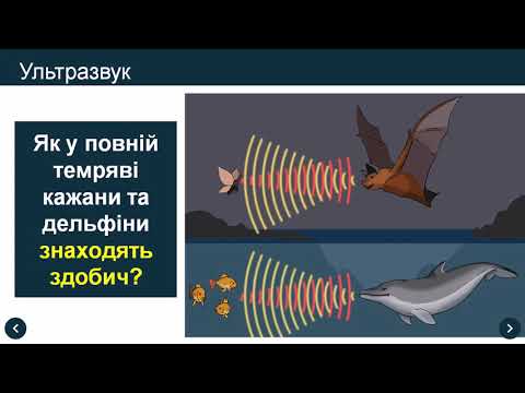 Видео: Звукові хвилі. Інфразвук та ультразвук