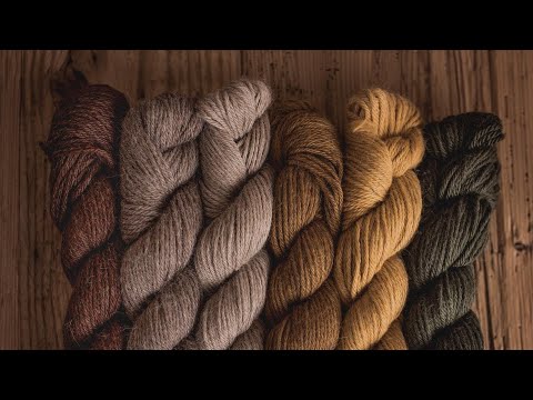 Видео: VLOG 15/2022 | ВЯЖУ КАРДИГАН С ЯПОНСКИМ ПЛЕЧОМ | КРАШУ ПРЯЖУ | ПЛАНЫ | СУПЕР ПОКУПКИ