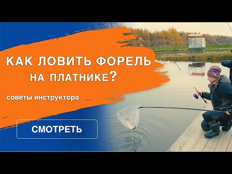 Видео: Ловля форели на платнике | Инструктаж в Ковашах