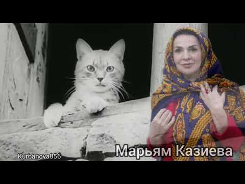 Видео: Марьям Казиева