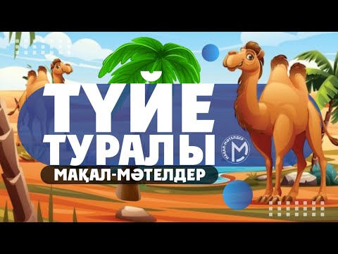 Видео: Түйе туралы мақал - мәтелдер