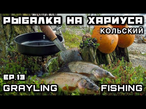 Видео: ХАРИУС на БЛЕСНУ Буррито с Хариусом и Грибами | Кольский полуостров Рыбалка на Спиннинг с Пакрафта