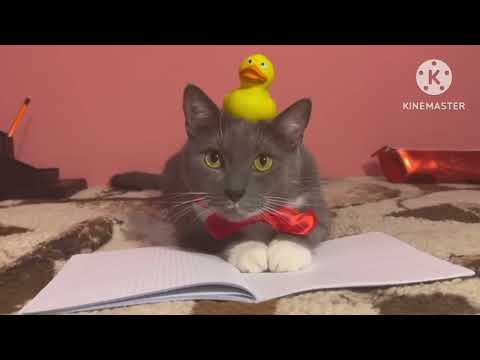 Видео: Котинет обновление 1 сезон нарисуйте что вам нравится в школе хаги ваги мультик для детей!