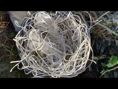 Видео: Подвязки для растений попробую помыть