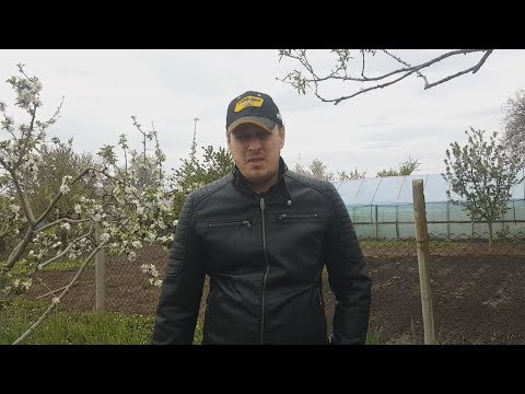 Видео: Ответы на вопросы + Важное Объявление