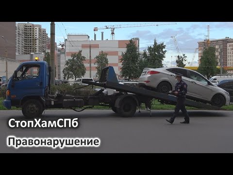 Видео: СтопХамСПб - Правонарушение