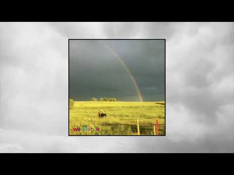 Видео: Вандер Фил - Поправила